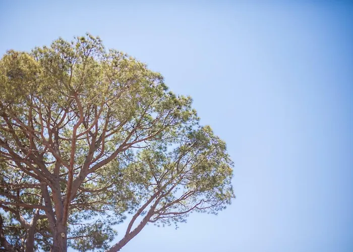 Βίλα Les Ondes Vi4120 *